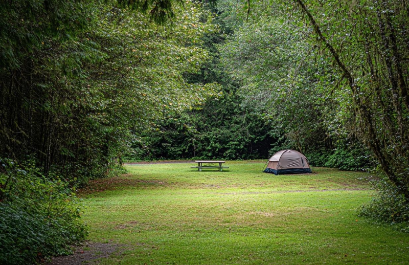 Camping in Ford's Cove Marina