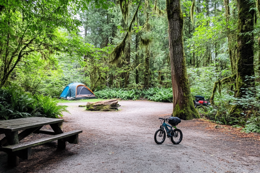 Camping in the Goldstream Campground