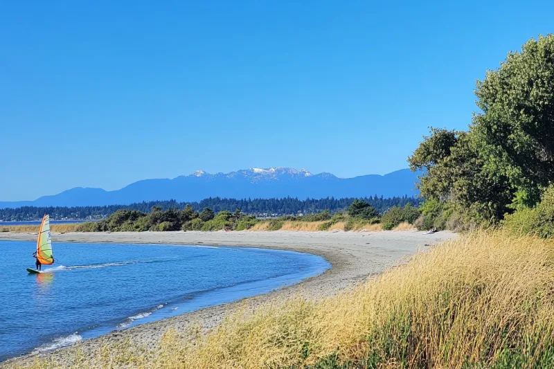 Willows Beach Windsurfing