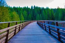 Cowichan Valley Trail