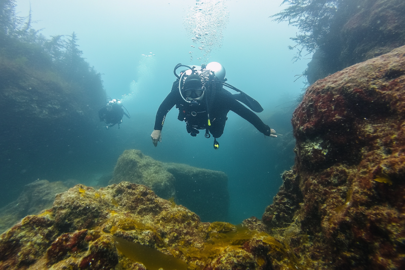 Alcala Point in Porlier Pass Diving