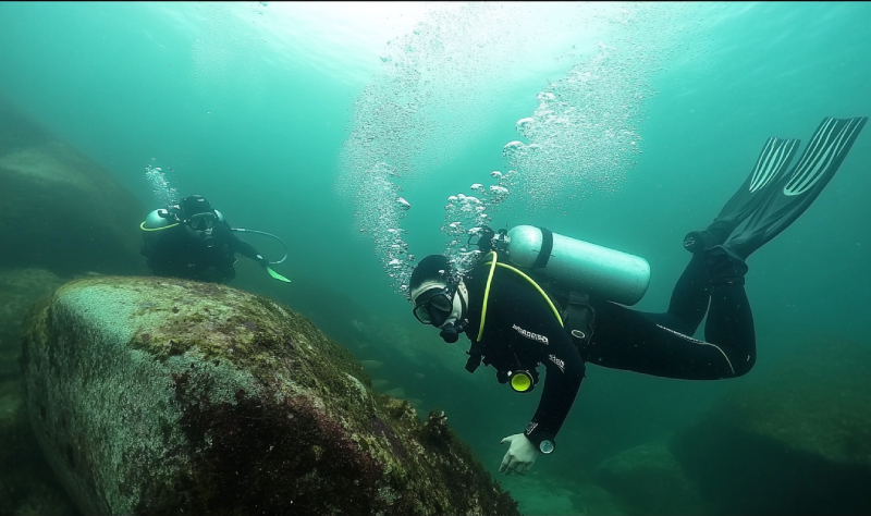 Ten Mile Point Diving