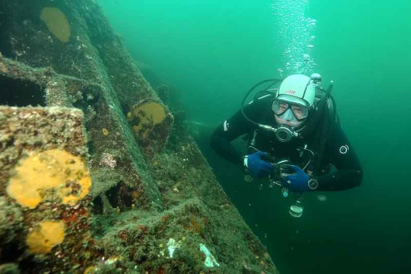 Ogden Point Diving