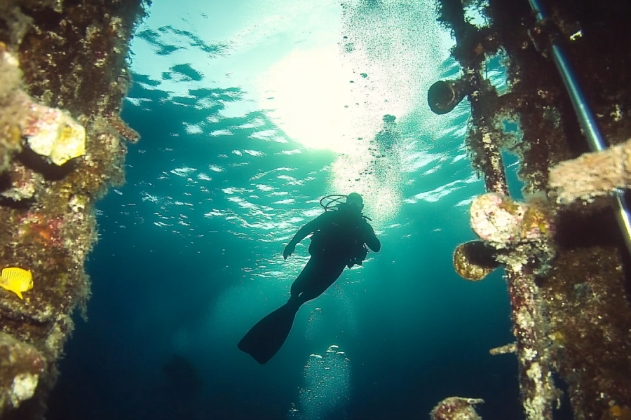 Rivtow Lion Diving