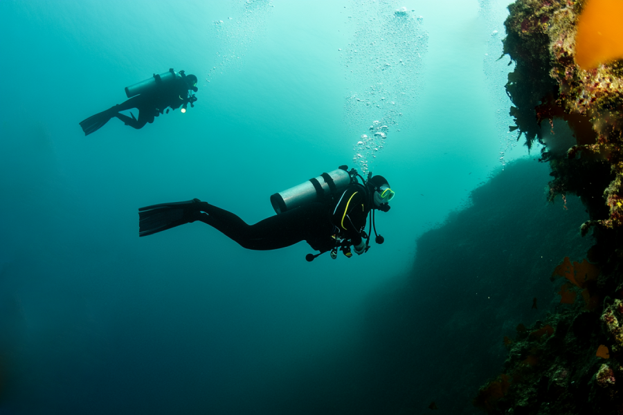 Dodd Narrows Diving