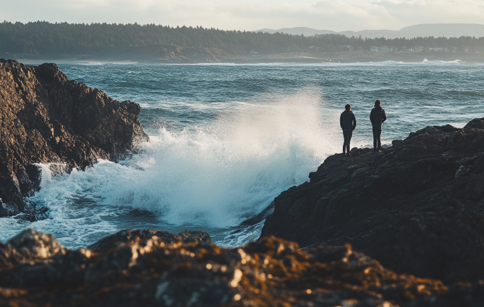 Cattle Point Storm Watching