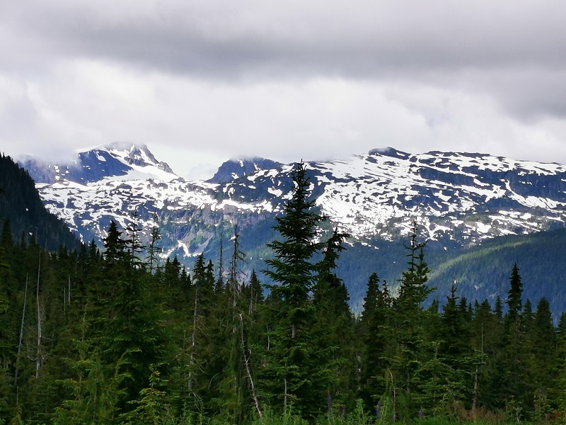 Elk Falls Provincial Park