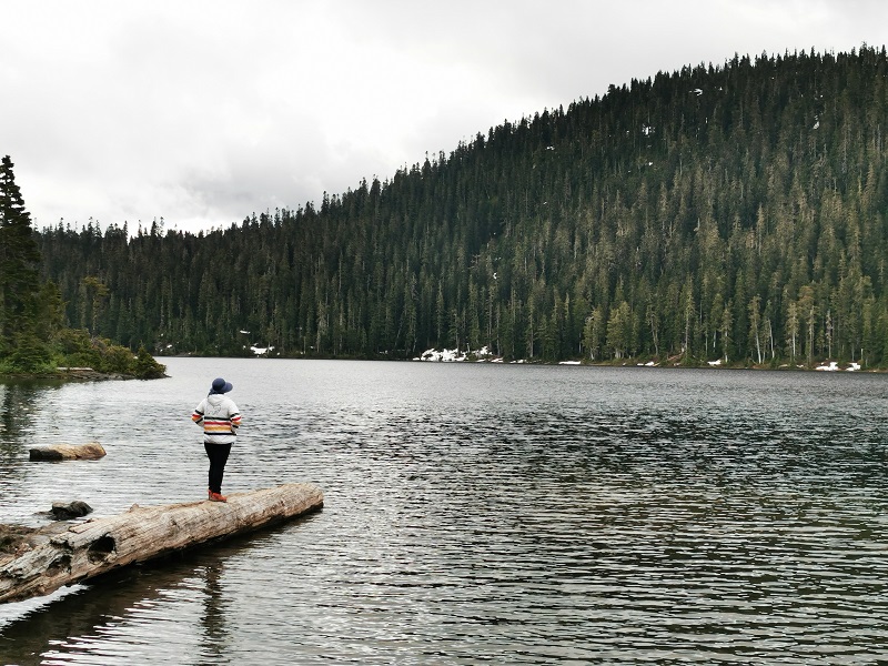 Camping in Bradsdadsland Campsite