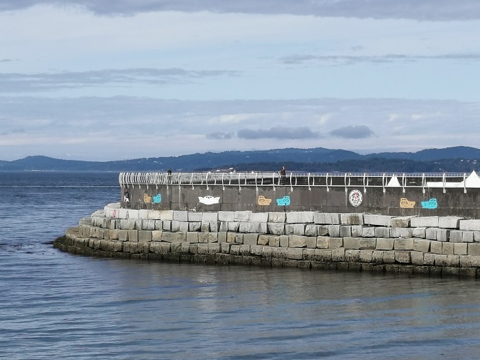 Nanaimo Diving