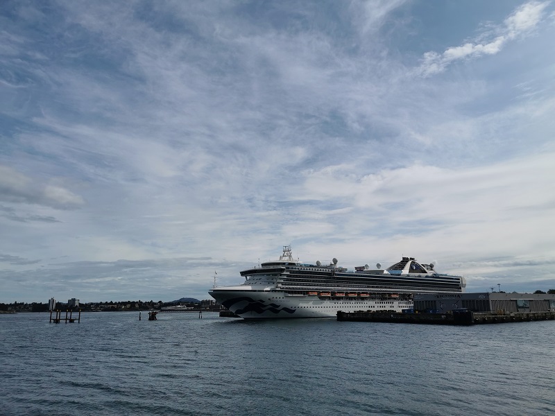 Protection Island Ferry Whale Watching