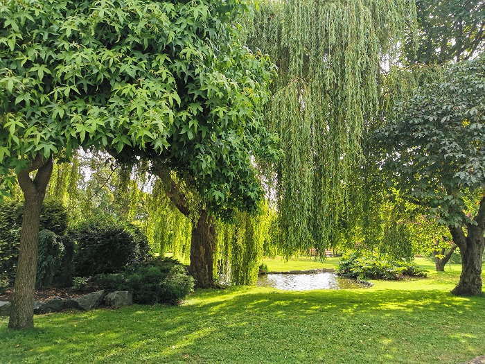 Colliery Dam Park