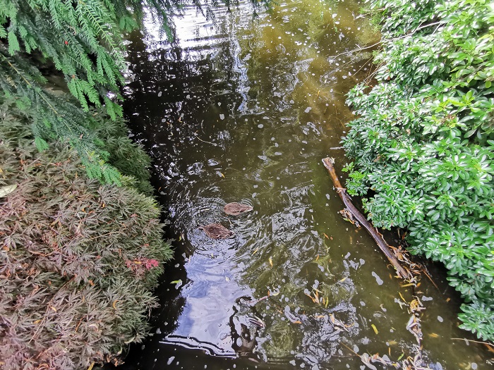 Woodley Range Ecological Reserve