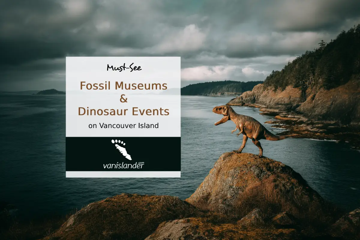 14 Must-See Fossil Museums and Dinosaur Events on Vancouver Island