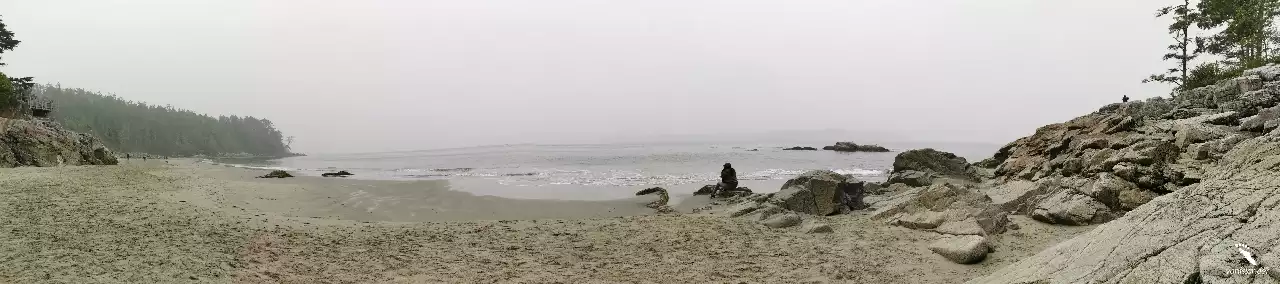 Wide View of the Beach in Tofino, Vancouver Island