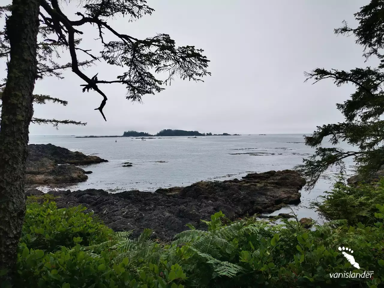 Ocean View from Ucluelet, Vancouver Island