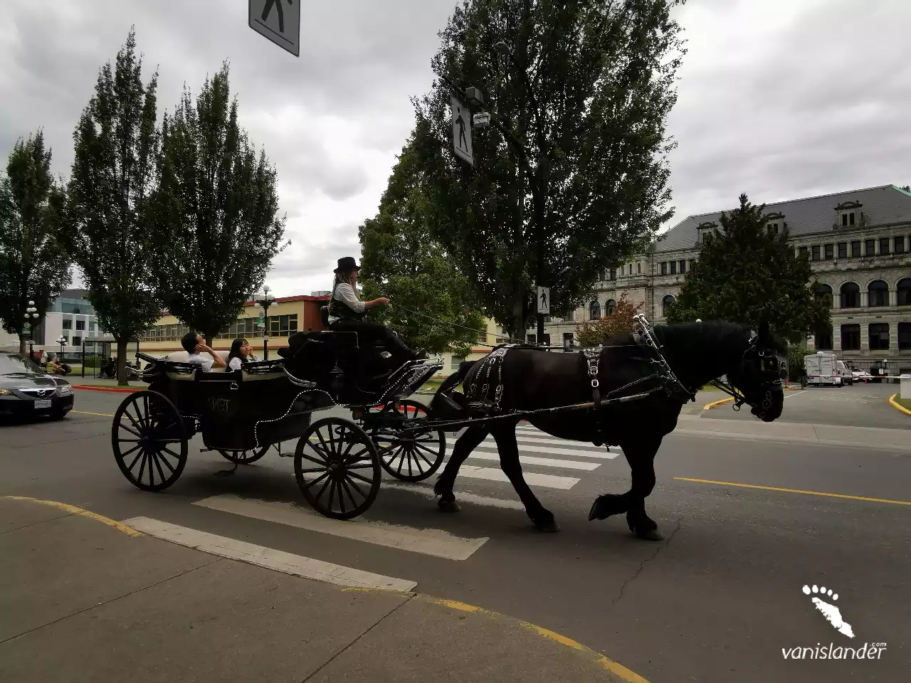 A Carriage crossing the street in Victoria,  Vancouver Island