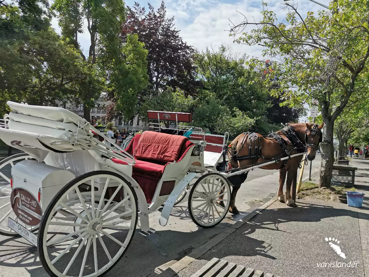 Carriage standing by the sidewalk in Victoria,  Vancouver Island