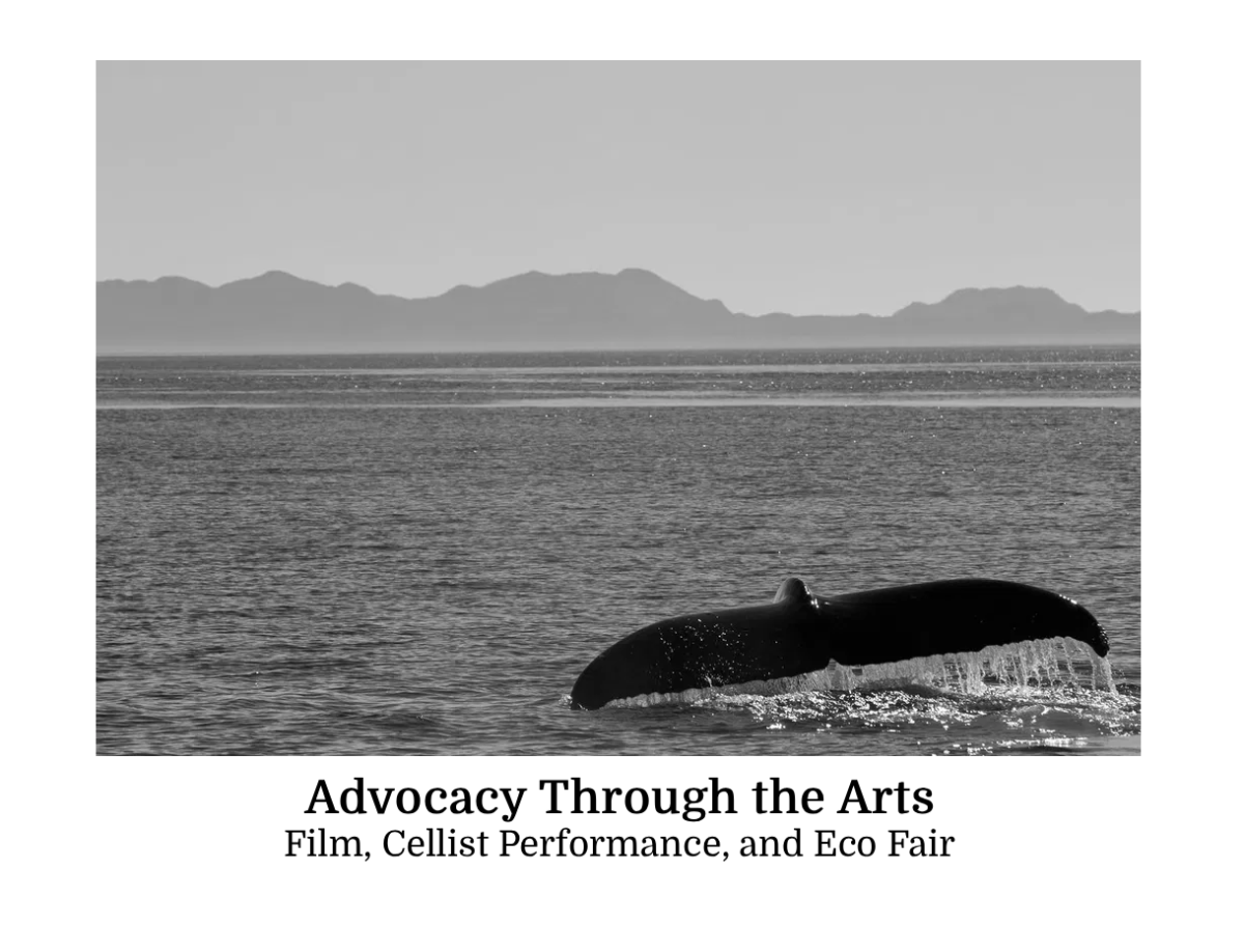 Advocacy Through the Arts – Film, Cellist Performance, and Eco Fair