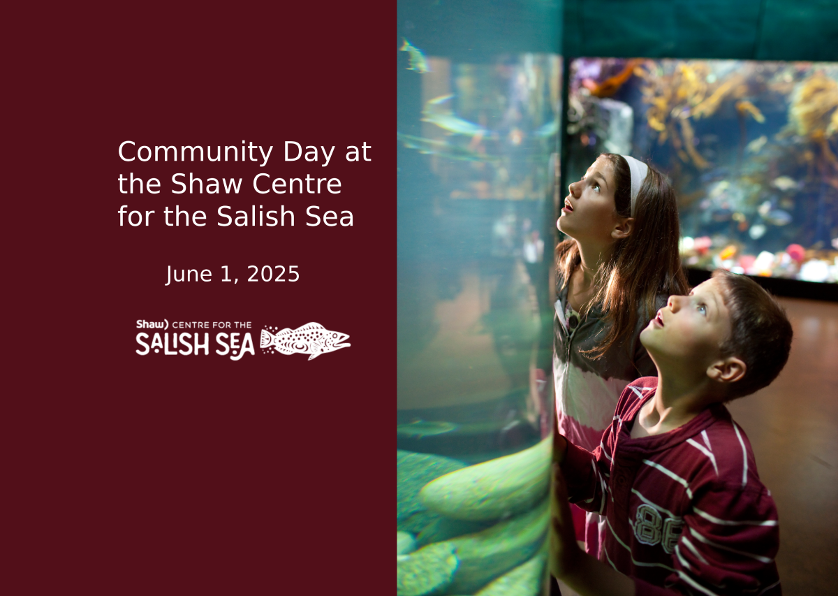 Community Day at the Shaw Centre for the Salish Sea