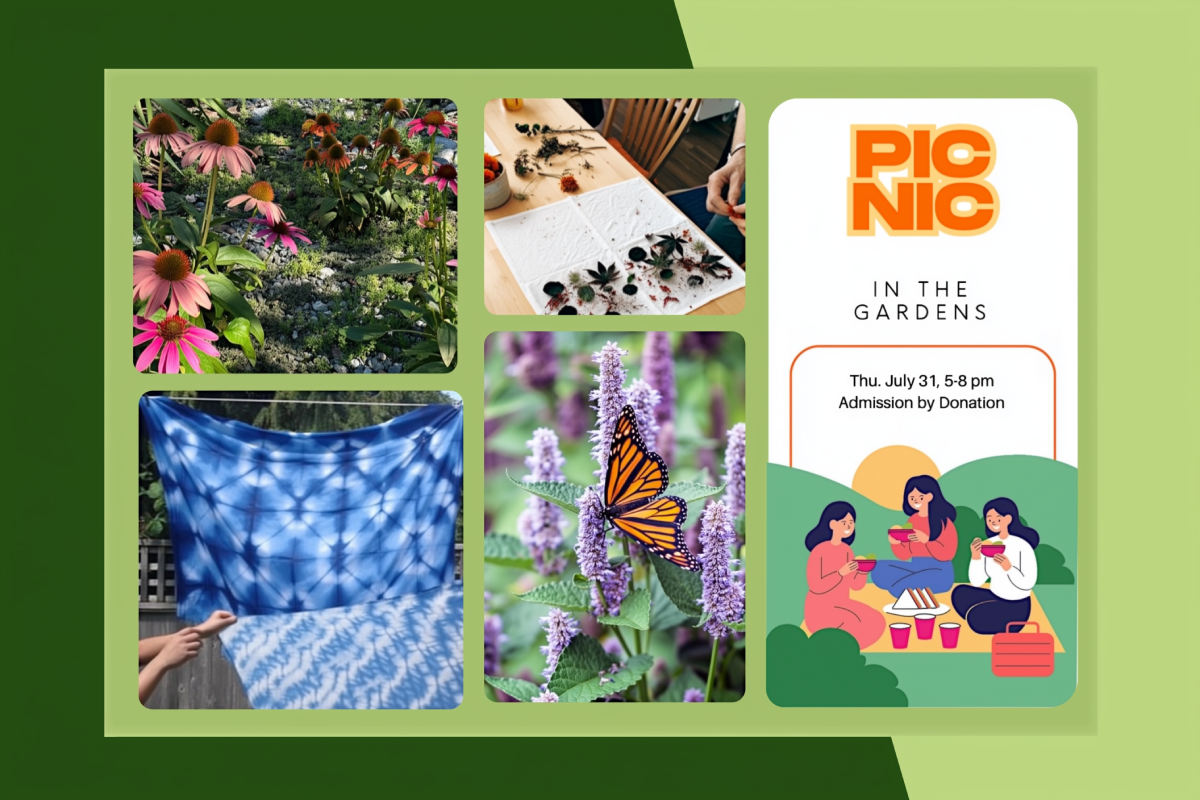 Picnic in the Gardens