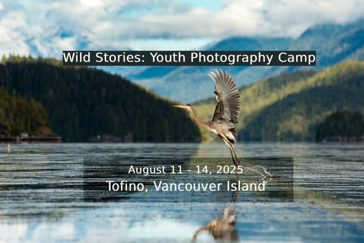 Wild Stories: Youth Photography Camp