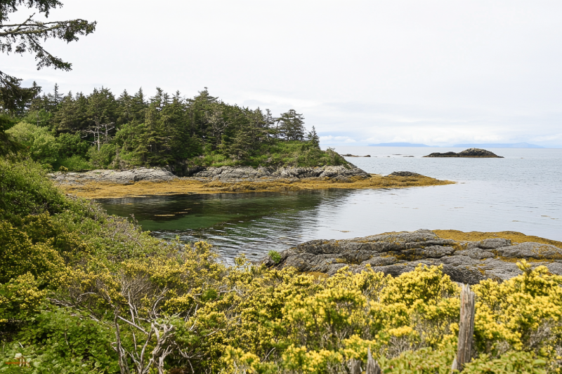 McNeill Bay