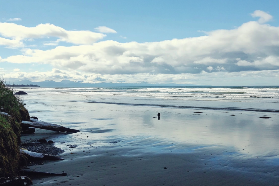 Wickaninnish Beach