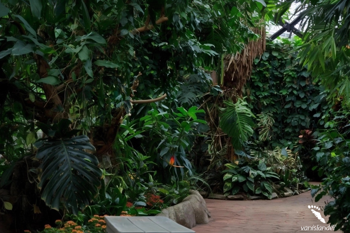 Victoria Butterfly Gardens