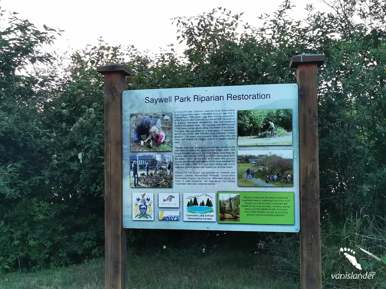 Saywell Park Riparian Restoration - Cowichan Lake, Vancouver Island