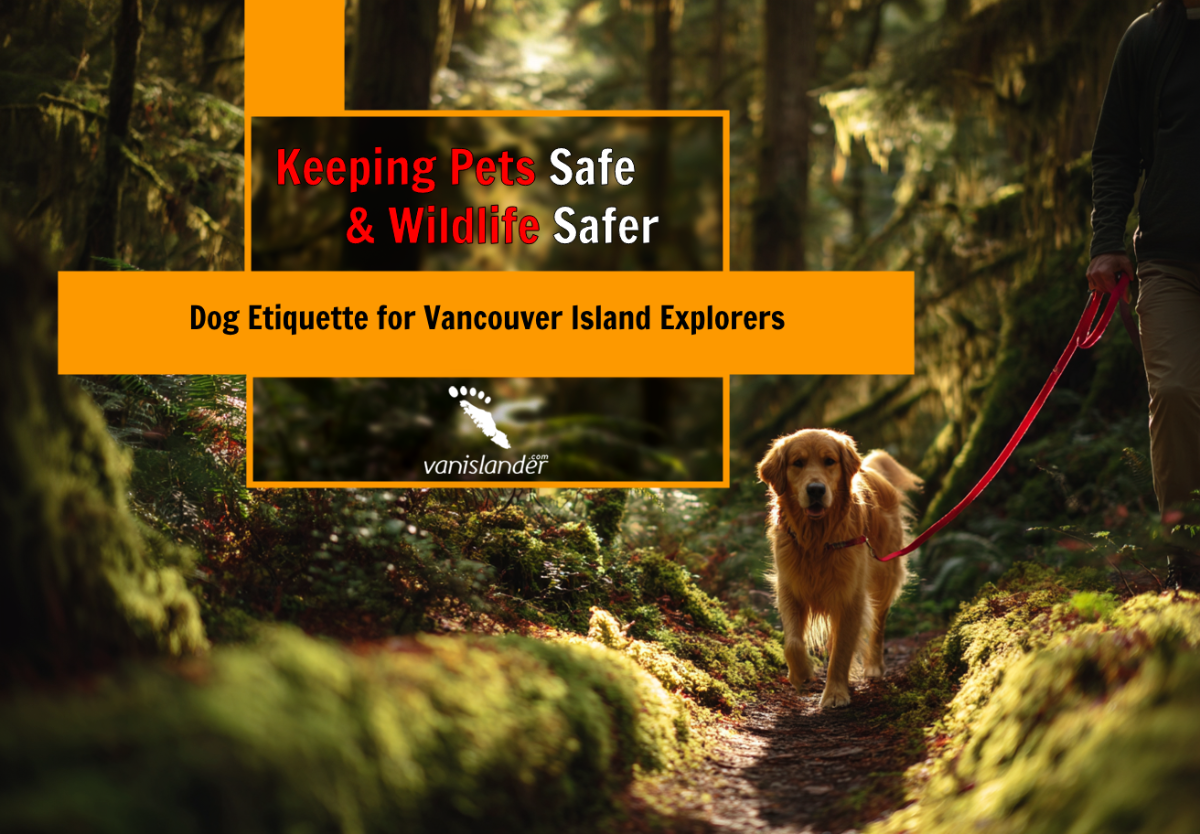 Keeping Pets Safe and Wildlife Safer: Dog Etiquette for Vancouver Island Explorers