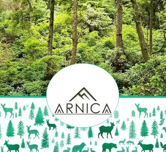 Vancouver Island Hikes and Tours