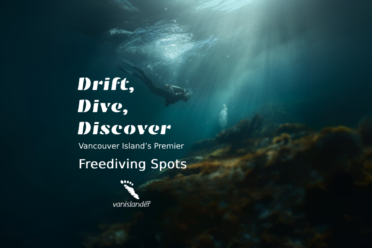 Drift, Dive, Discover: Vancouver Island’s Premier Freediving Spots