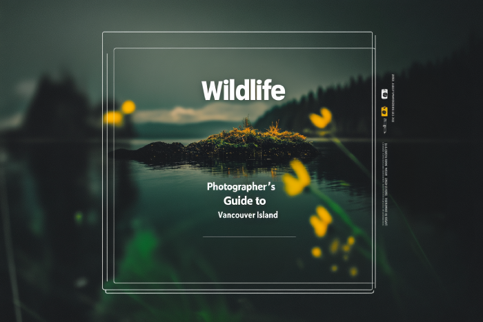 Wildlife Photographer's Guide to Vancouver Island